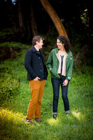 Lauren & Brad's Engagement: The Color Edit